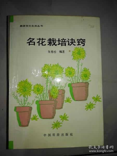 孔夫子舊書網(wǎng)的西域之夢(mèng) 文化傳播中的數(shù)據(jù)守望與美學(xué)思考